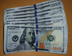 700 dollar loan
